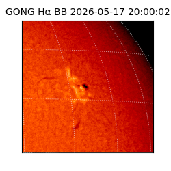 gong - 2026-05-17T20:00:02