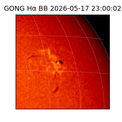 gong - 2026-05-17T23:00:02