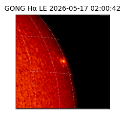 gong - 2026-05-17T02:00:42