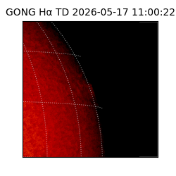 gong - 2026-05-17T11:00:22