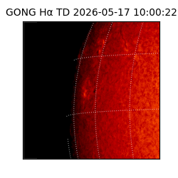 gong - 2026-05-17T10:00:22