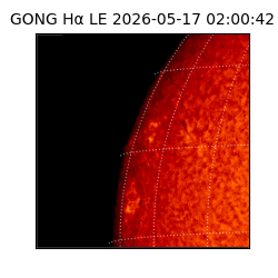 gong - 2026-05-17T02:00:42