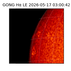 gong - 2026-05-17T03:00:42