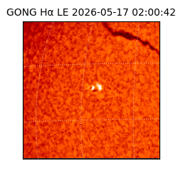 gong - 2026-05-17T02:00:42