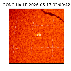 gong - 2026-05-17T03:00:42