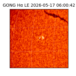 gong - 2026-05-17T06:00:42