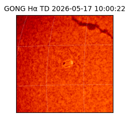 gong - 2026-05-17T10:00:22