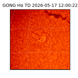 gong - 2026-05-17T12:00:22