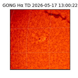 gong - 2026-05-17T13:00:22