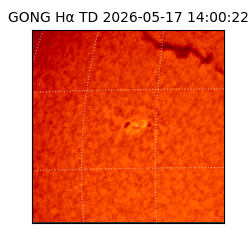 gong - 2026-05-17T14:00:22