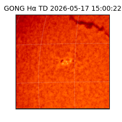 gong - 2026-05-17T15:00:22