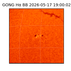 gong - 2026-05-17T19:00:02