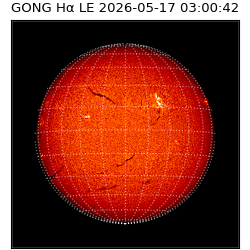 gong - 2026-05-17T03:00:42