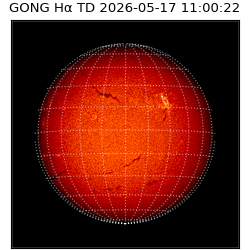 gong - 2026-05-17T11:00:22