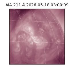 saia - 2026-05-18T03:00:09.623000