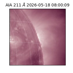 saia - 2026-05-18T08:00:09.623000