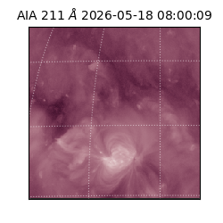 saia - 2026-05-18T08:00:09.623000
