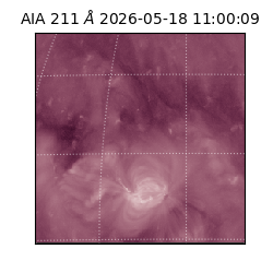 saia - 2026-05-18T11:00:09.622000