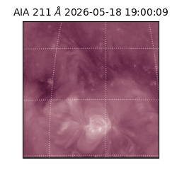 saia - 2026-05-18T19:00:09.622000