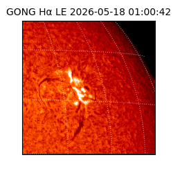 gong - 2026-05-18T01:00:42