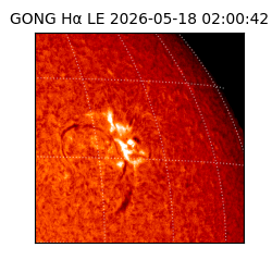 gong - 2026-05-18T02:00:42