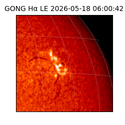 gong - 2026-05-18T06:00:42