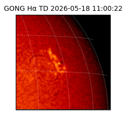 gong - 2026-05-18T11:00:22