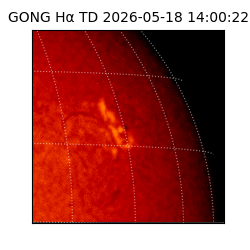 gong - 2026-05-18T14:00:22