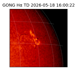 gong - 2026-05-18T16:00:22