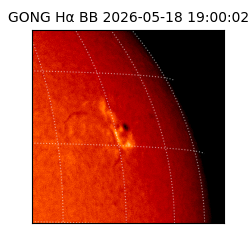 gong - 2026-05-18T19:00:02
