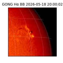 gong - 2026-05-18T20:00:02