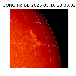 gong - 2026-05-18T23:00:02