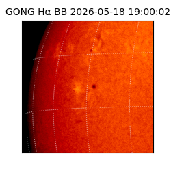 gong - 2026-05-18T19:00:02