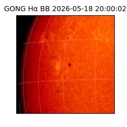 gong - 2026-05-18T20:00:02