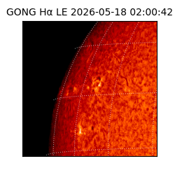 gong - 2026-05-18T02:00:42