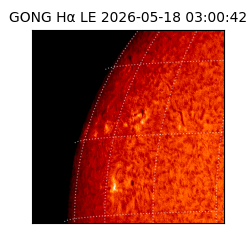 gong - 2026-05-18T03:00:42