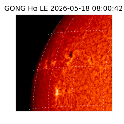 gong - 2026-05-18T08:00:42