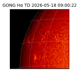gong - 2026-05-18T09:00:22