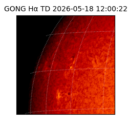 gong - 2026-05-18T12:00:22