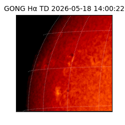 gong - 2026-05-18T14:00:22