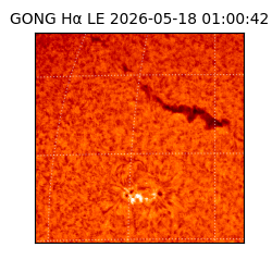 gong - 2026-05-18T01:00:42