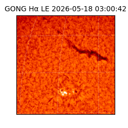 gong - 2026-05-18T03:00:42