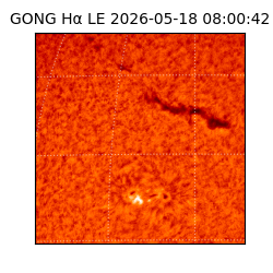 gong - 2026-05-18T08:00:42