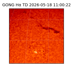 gong - 2026-05-18T11:00:22
