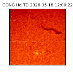 gong - 2026-05-18T12:00:22