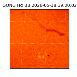 gong - 2026-05-18T19:00:02