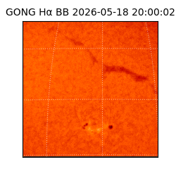 gong - 2026-05-18T20:00:02