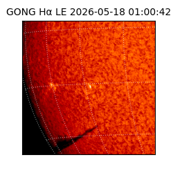 gong - 2026-05-18T01:00:42