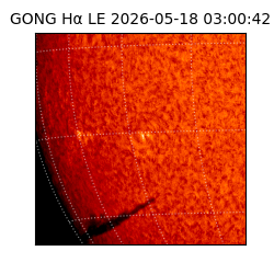 gong - 2026-05-18T03:00:42