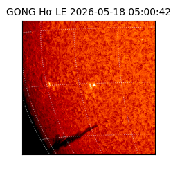 gong - 2026-05-18T05:00:42